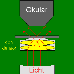 Dunkelfeld-Mikroskop