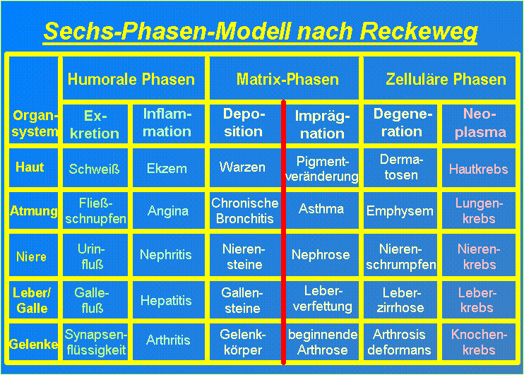 Sechs-Phasen-Modell